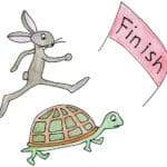 Hare and Tortoise Competitors