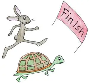 Hare and Tortoise Competitors
