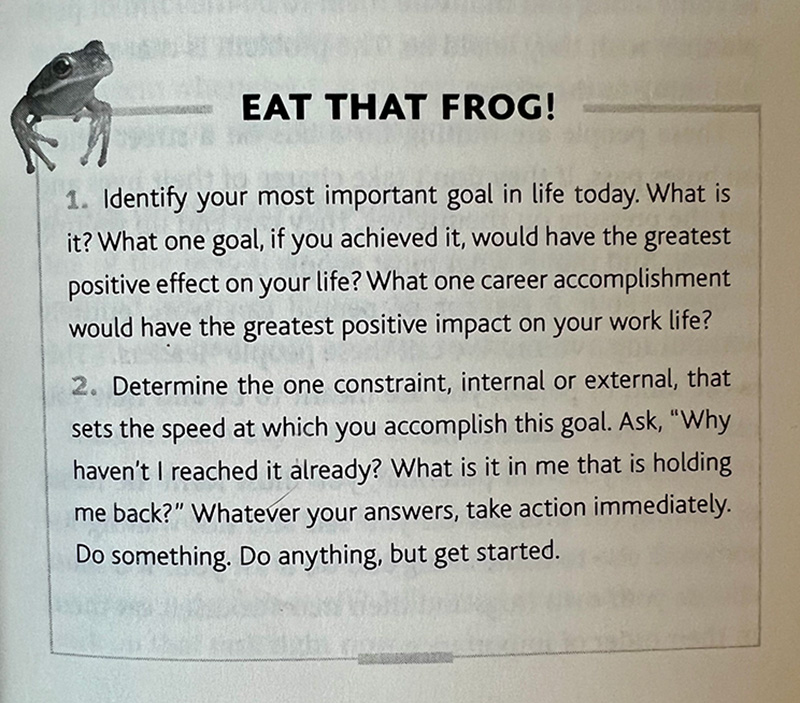 page from Eat That Frog 