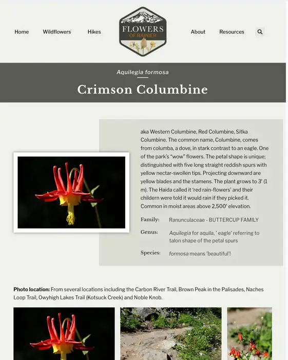 Flowers of Rainier - Elementor Template for Wildflowers