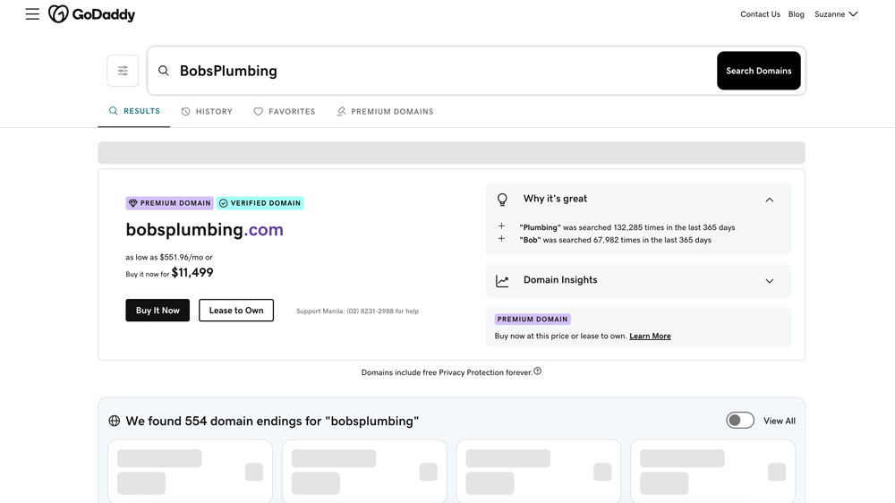 Screenshot from Godaddy domains - evaluate search results